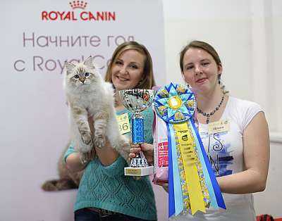 �������� ����� '���-�����-������' 11-12 ������ 2015 12-186-169A4751 copy.jpg